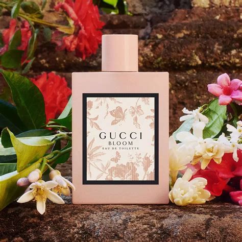 fragrantica gucci bloom|Gucci Bloom costco.